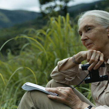 Dr Jane Goodall delivers an important message of hope at the 2022 Procter & Gamble AMA Sustainability Summit