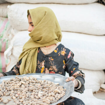 Empowering The Afghani Woman Economically
