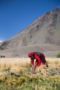 Empowering The Afghani Woman Economically