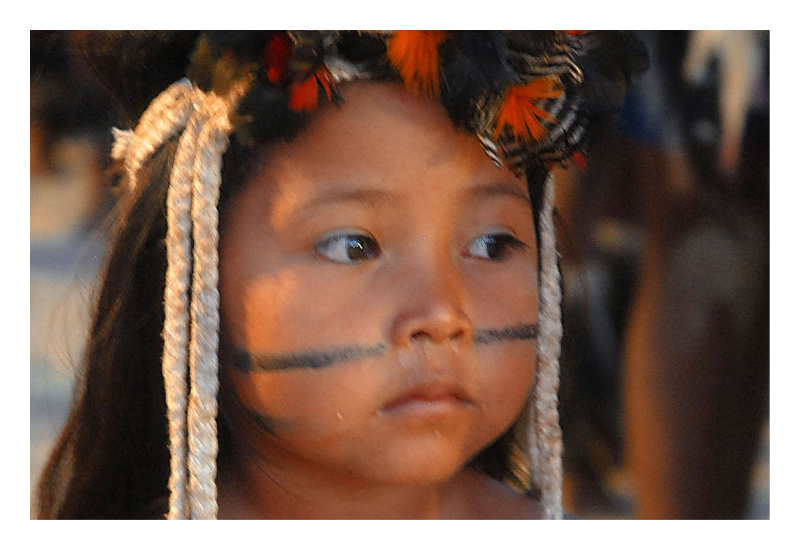 brazil-wiki Amazon Under Threat